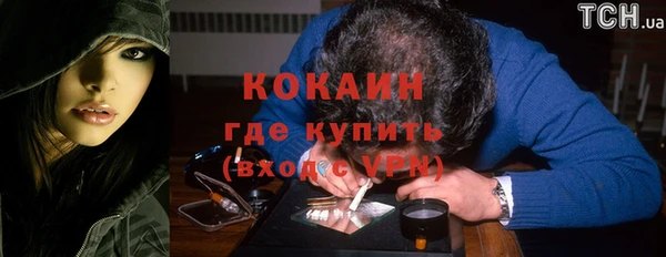 сатива Фурманов