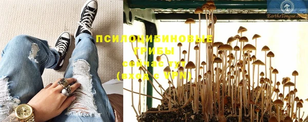 сатива Фурманов