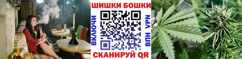 купить  цена  Москва  Канабис сатива 